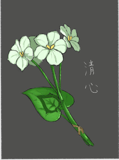XingQin